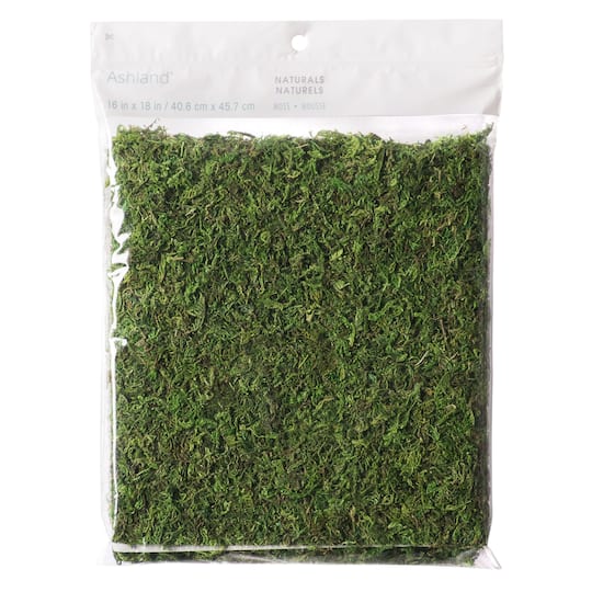 12 Pack: Moss Mat by Ashland&#xAE;